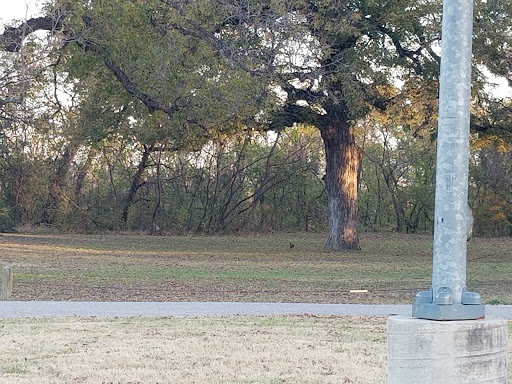 Park «Quanah Parker Park», reviews and photos, 5401 Randol Mill Rd, Fort Worth, TX 76103, USA