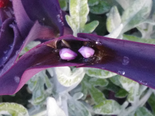 Park «Mt. Echo Park», reviews and photos, 202 Crestline Ave, Cincinnati, OH 45205, USA