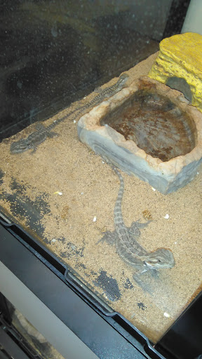 Pet Supply Store «Pet Supplies Plus», reviews and photos, 768 S Jefferson Ave c, Cookeville, TN 38501, USA