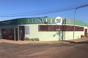 Clinvet Lençóis Paulista- Clínica Veterinária/ Banho e Tosa image