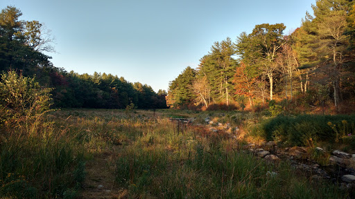 Tourist Attraction «Black Ledge Falls», reviews and photos, Hebron Ave, Glastonbury, CT 06033, USA