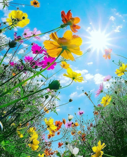 Hair Salon «Aylin Beauty Salon & Spa», reviews and photos, 820 E 41st St, Hialeah, FL 33013, USA