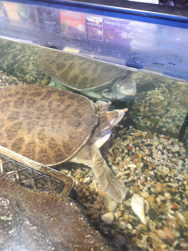 Pet Supply Store «Pet City Pets», reviews and photos, 1254 Ecorse Rd, Ypsilanti, MI 48198, USA