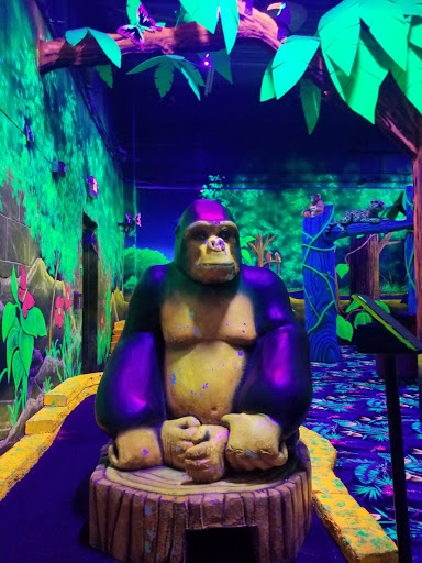 Amusement Center «Zap Zone Extreme Ltd», reviews and photos, 31506 Grand River Ave, Farmington, MI 48336, USA