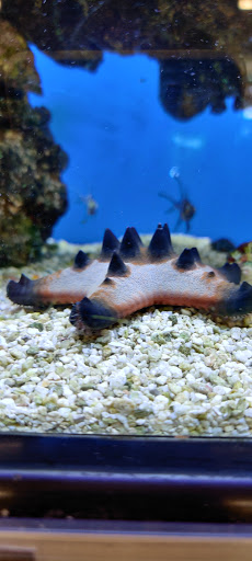 Pet Supply Store «Petco Animal Supplies», reviews and photos, 125 Lincoln Hwy, Exton, PA 19341, USA