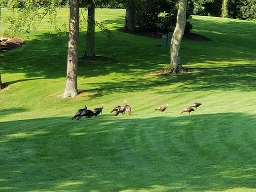 Golf Course «Stonehedge Golf Club», reviews and photos, 15530 M-89, Augusta, MI 49012, USA