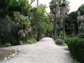Jardim Botânico de Lisboa