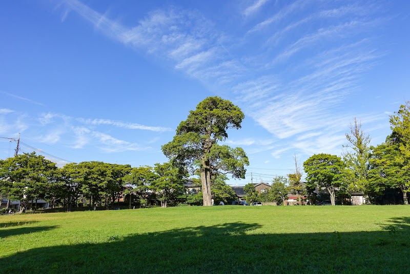 くすのき広場