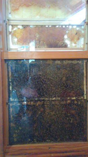 Insurance Agency «AAA - Glenwood Ave», reviews and photos