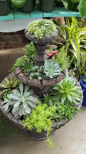 Florist «Farmstead Flowers», reviews and photos, 170 Cocalico Creek Rd, Ephrata, PA 17522, USA