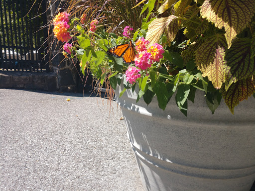 State Government Office «Wilmington State Parks», reviews and photos, 1021 W 18th St, Wilmington, DE 19802, USA