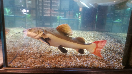 Pet Store «Miles of Exotics», reviews and photos, 8350 N Broadway, Kansas City, MO 64118, USA