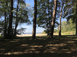 Foto di Badestrand Kolpinsee ubicato in zona naturale