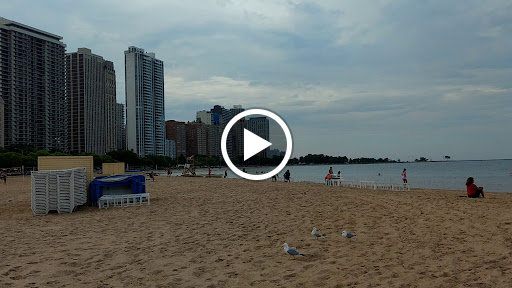 Park «Lincoln Park», reviews and photos, 2045 N Lincoln Park W, Chicago, IL 60614, USA