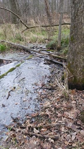 Park «Baker Park Reserve - Near-Wilderness Settlement», reviews and photos, 4001 County Rd 24, Maple Plain, MN 55359, USA