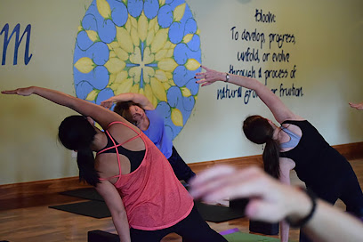 Bloom Yoga Fitness Studios of Southington, CT