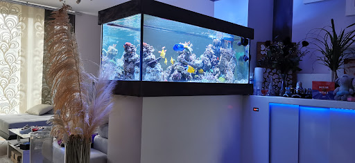AquaLEDs GmbH unter Unterensingen, 