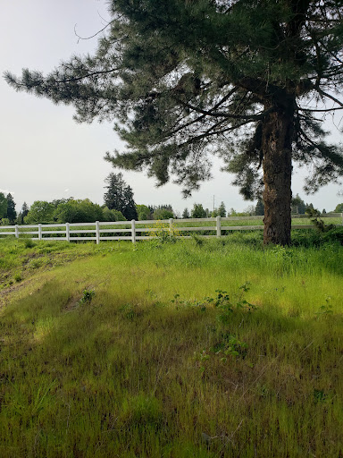 Country Club «Shadow Hills Country Club», reviews and photos, 92512 River Rd, Junction City, OR 97448, USA