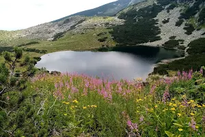 Йончево езеро image
