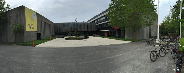 Københavns åbne Gymnasium