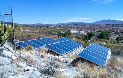 Greenstation ️ Paneles Solares en Cuernavaca