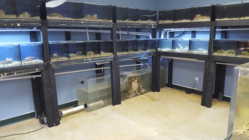 Tropical Fish Store «Saltwater Island», reviews and photos, 15214 Manchester Rd, Ballwin, MO 63011, USA