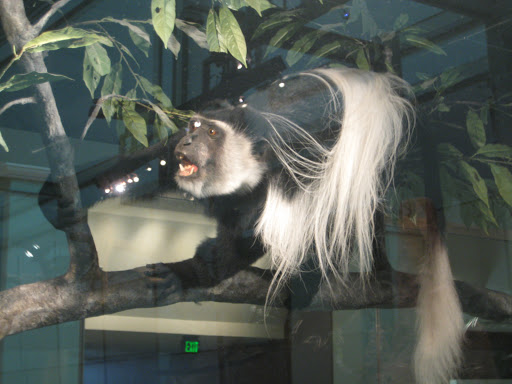 Art Museum «Smithsonian American Art Museum», reviews and photos, F St NW & 8th St NW, Washington, DC 20004, USA