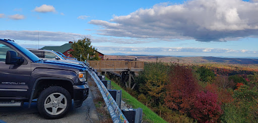 Gift Shop «Hogback Mountain Gift Shop», reviews and photos, 7627 VT-9, Marlboro, VT 05363, USA