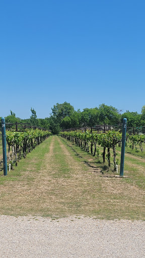 Winery «Eden Hill Winery and Vineyard», reviews and photos, 4910 Eden Hill Ln, Celina, TX 75009, USA
