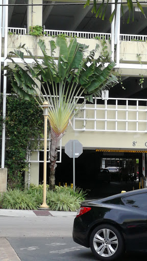 Coffee Shop «Starbucks», reviews and photos, 796 5th Ave S, Naples, FL 34102, USA