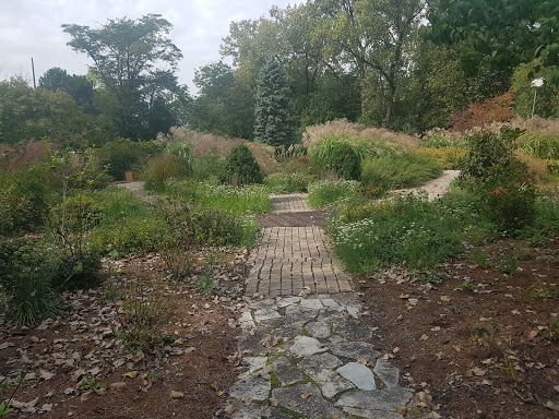 Triton College Botanical Garden