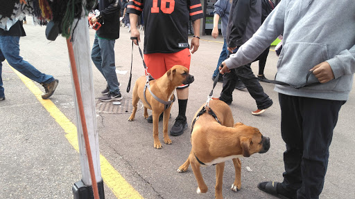 Flea Market «Mile High Flea Market», reviews and photos, 7007 E 88th Ave, Henderson, CO 80640, USA