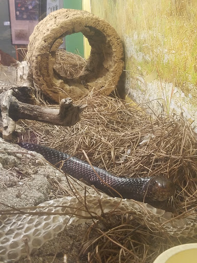 Non-Profit Organization «Sanibel-Captiva Conservation Foundation», reviews and photos, 3333 Sanibel Captiva Rd, Sanibel, FL 33957, USA