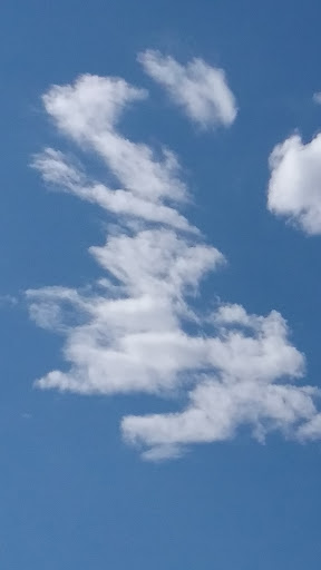 Park «Willis D. Tucker Community Park», reviews and photos, 6705 Puget Park Dr, Snohomish, WA 98296, USA