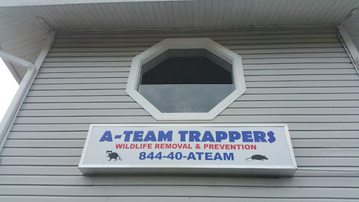 Animal Control Service «A-Team Trappers», reviews and photos