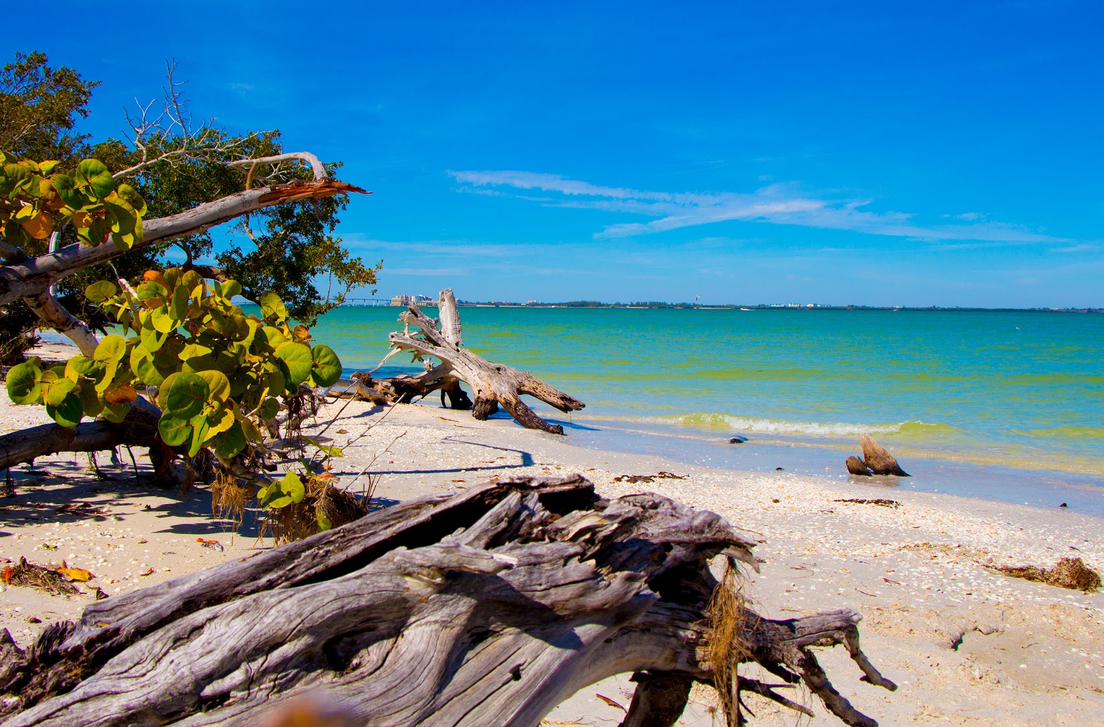 Φωτογραφία του Sanibel Island North με επίπεδο καθαριότητας πολύ καθαρό