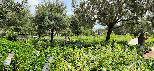 Plant Nursery «Lukas Nursery & Butterfly Encounter», reviews and photos, 1909 Slavia Rd, Oviedo, FL 32765, USA