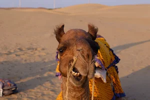 Wild desert and camel safari image