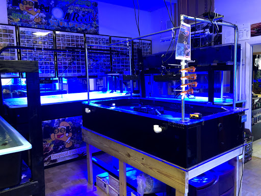 Tropical Fish Store «Hooked On Reefs», reviews and photos, 228 Hibiscus St #1, Jupiter, FL 33458, USA