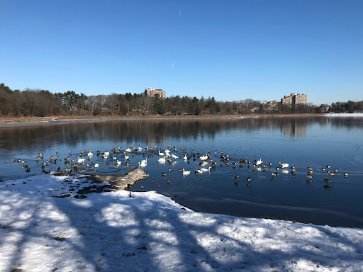 Museum «Metropolitan Waterworks Museum», reviews and photos, 2450 Beacon St, Chestnut Hill, MA 02467, USA