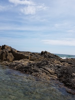 Kennebunk Beach Improvement Association - photo 48