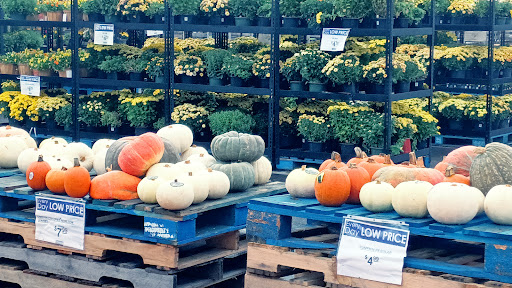 Department Store «Rural King», reviews and photos, 230 Central Pkwy, Heath, OH 43056, USA