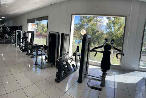 IRONJUNGLE en Lorca, Murcia