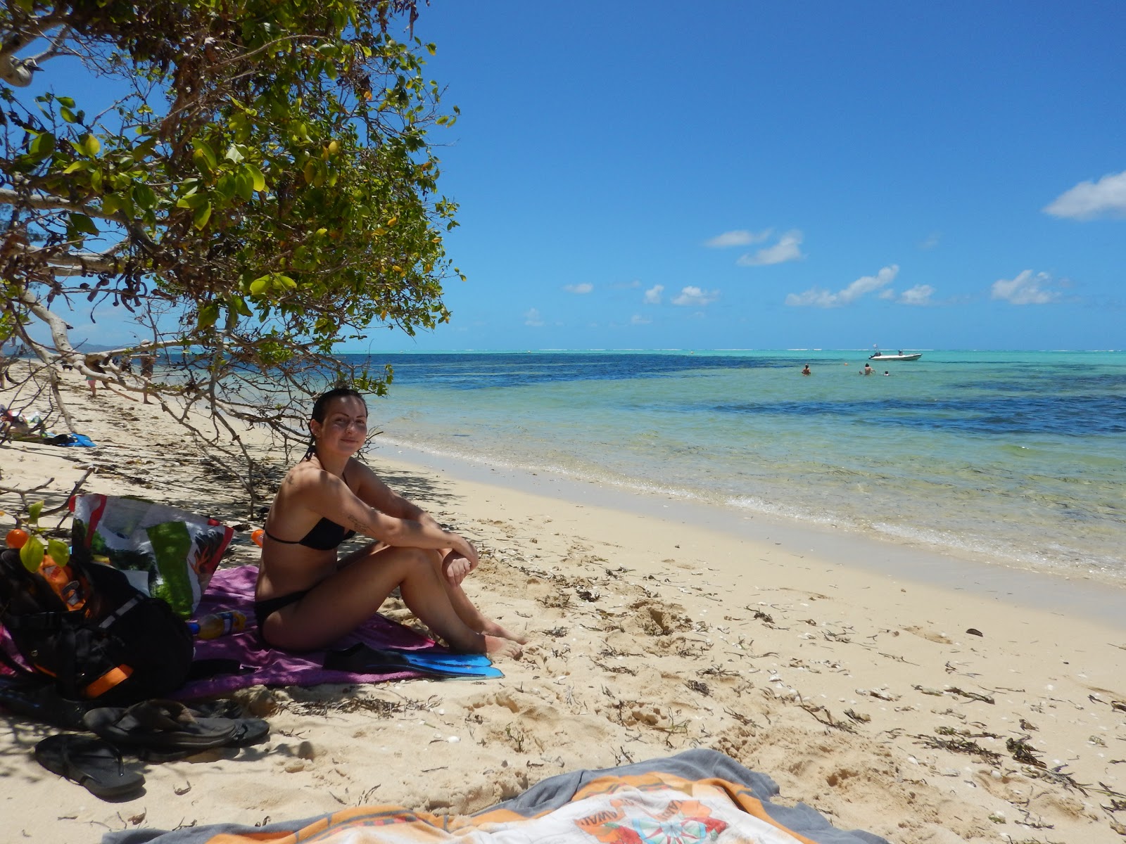 Foto af Poe Beach med høj niveau af renlighed