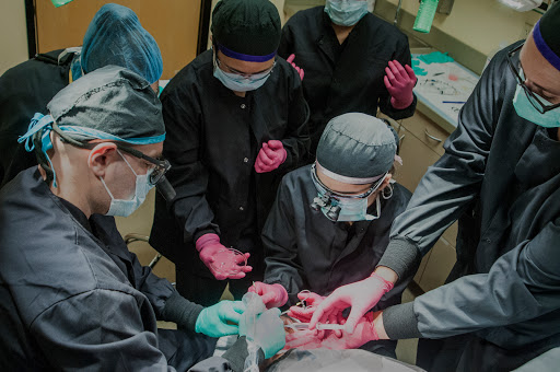 Plastic Surgeon «Gabel Center», reviews and photos, 900 SE Oak St #203, Hillsboro, OR 97123, USA