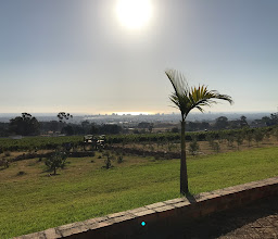 Capelands Resort - Farm Country Style - photo