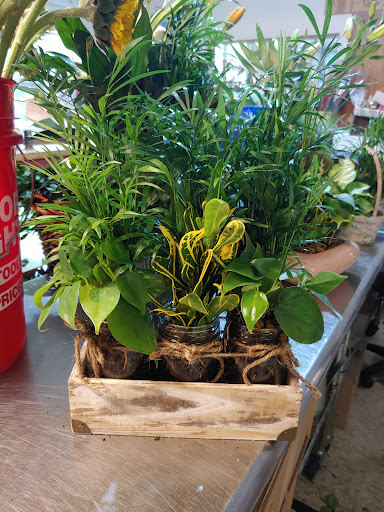 Florist «Marion Smith Florist», reviews and photos, 5904 7th St, Zephyrhills, FL 33542, USA