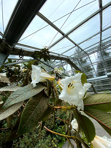 Botanical Garden «Rhododendron Species Botanical Garden», reviews and photos, 2525 S 336th St, Federal Way, WA 98003, USA