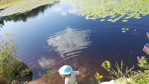 State Park «Great Brook Farm State Park», reviews and photos, 165 N Rd, Carlisle, MA 01741, USA