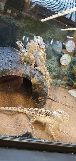 Pet Supply Store «Petco Animal Supplies», reviews and photos, 244 Pioneer Trail, Chaska, MN 55318, USA